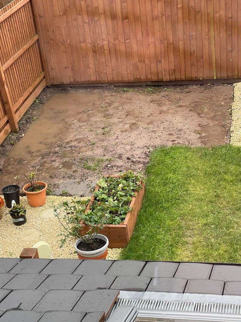 Improve Drainage Before Planting