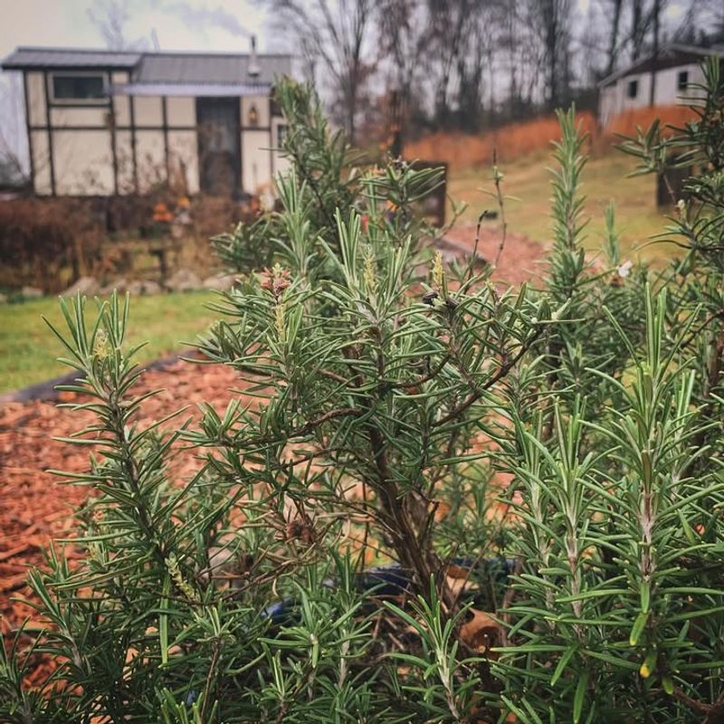 The Front-Door Trend That's Quietly Spreading Across Nevada