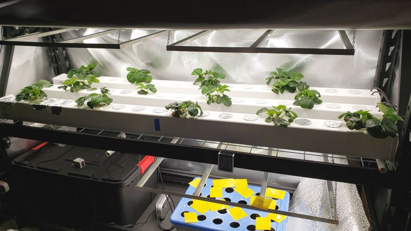 Indoor Temperature Control Works In Your Favor