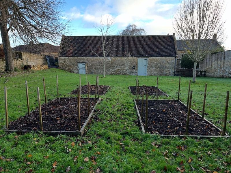 Clear Out Spent Plants And Garden Debris