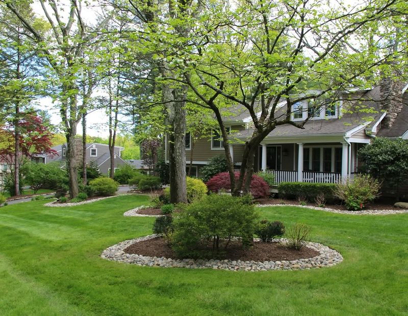 Trim Trees And Shrubs For Clean Lines And Better Light