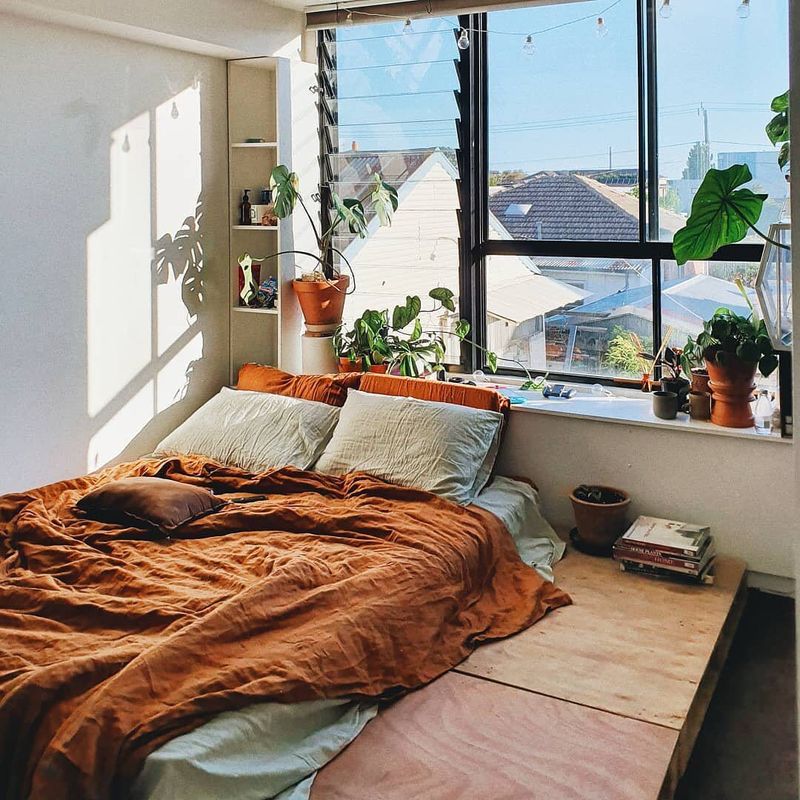 Design A Bedroom Plant Sanctuary