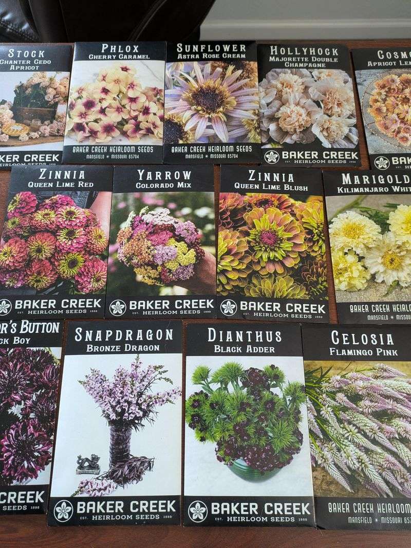 Organize Your Vision Board