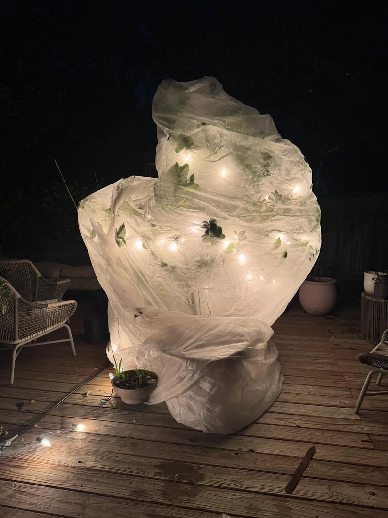 Use String Lights For Warmth