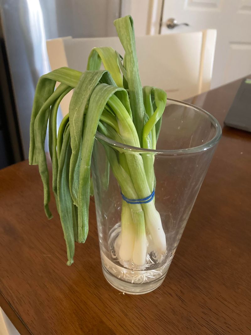 Troubleshoot Common Growing Problems Quickly