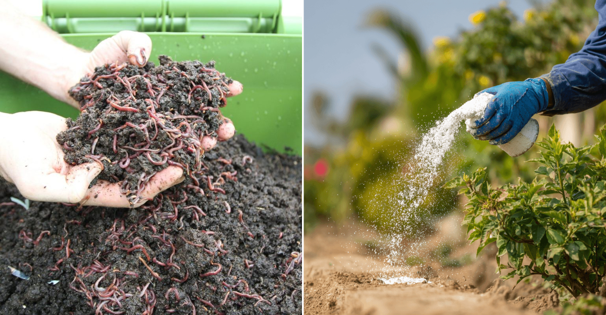 Add These 9 Soil Amendments Now For Better Growth In Oregon