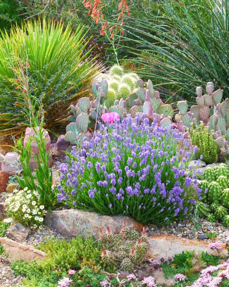 Create a Pollinator Garden with Fragrant Herbs