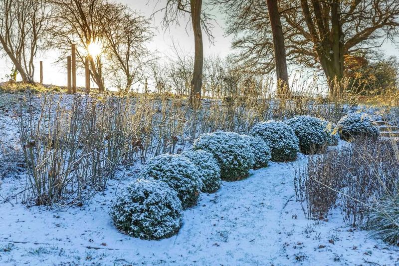 Sheltering Beneficial Insects and Garden Wildlife