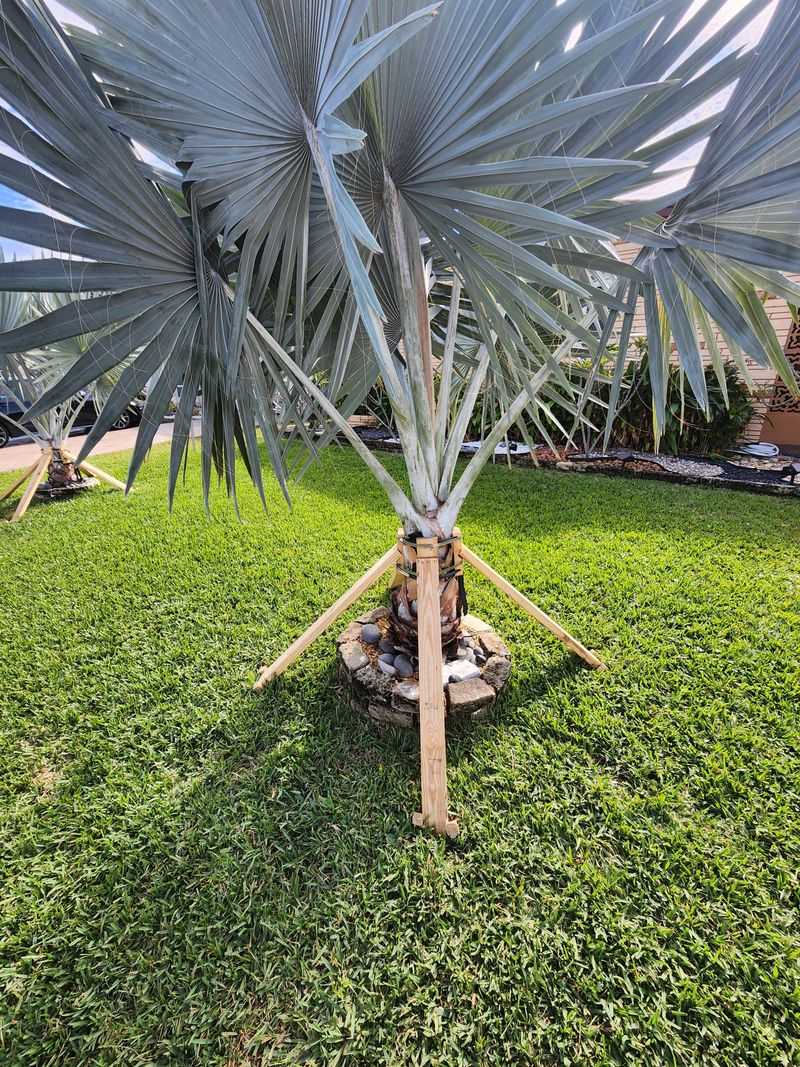 Use Wind Protection Strategies In Exposed Locations