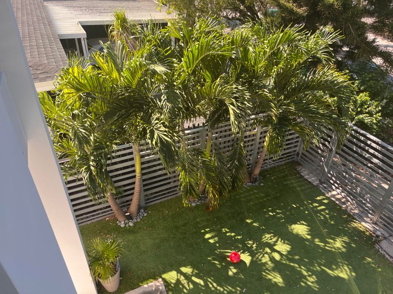 Remove Supports Once The Palm Regains Stability