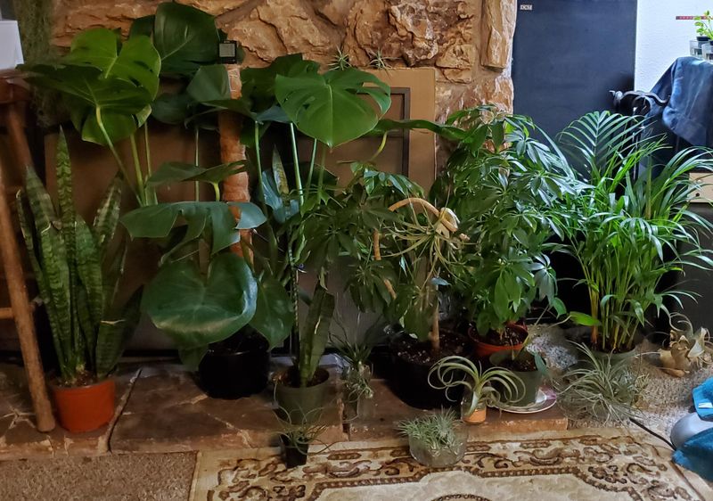 Boost Humidity Levels Indoors