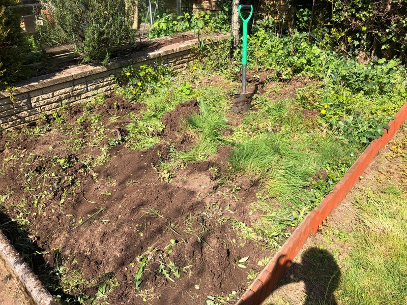 Remove Weeds And Roots First