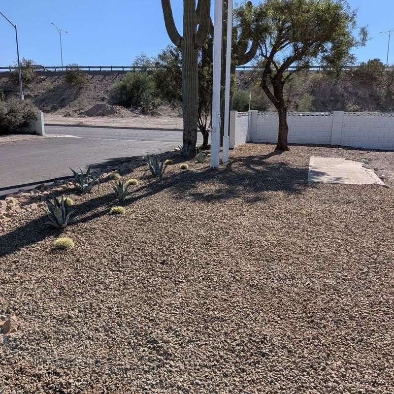 Watering And Maintenance Changes That Reduce Spread