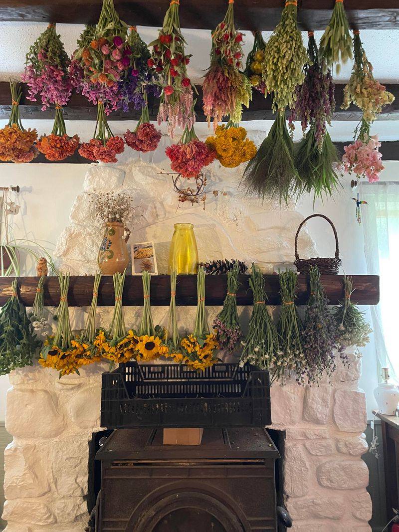 Hang Flowers Upside Down In Sunny Windows