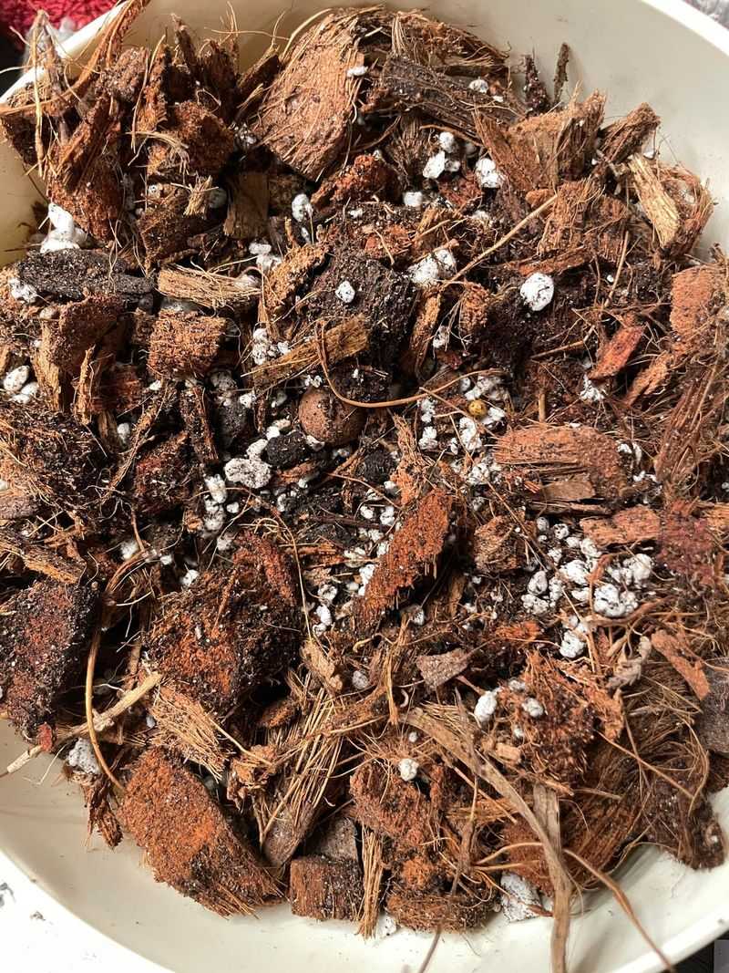 Well-Draining Soil Mixes