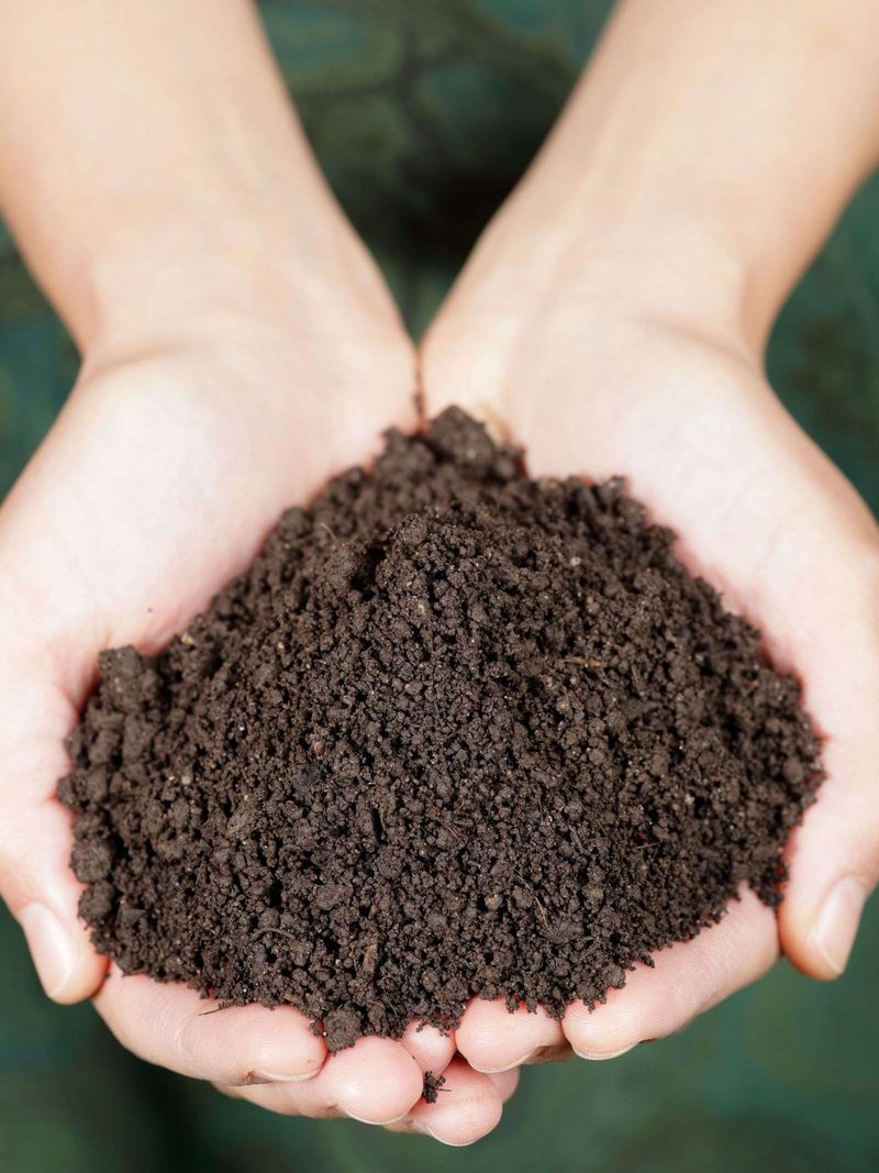 Composted Soil Mix