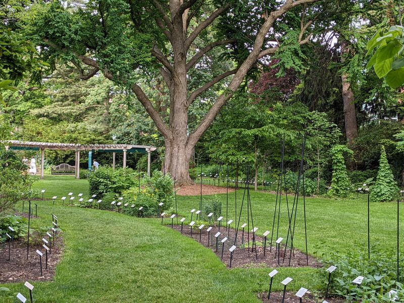 Beal Botanical Garden