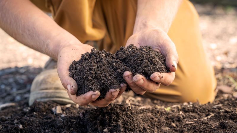 Test And Amend Your Soil For Optimal Growth