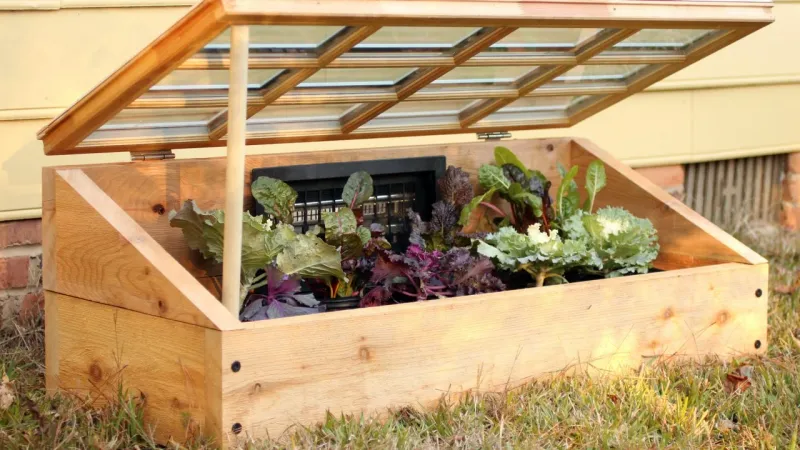 Build Simple Wooden Frames Over Delicate Perennials