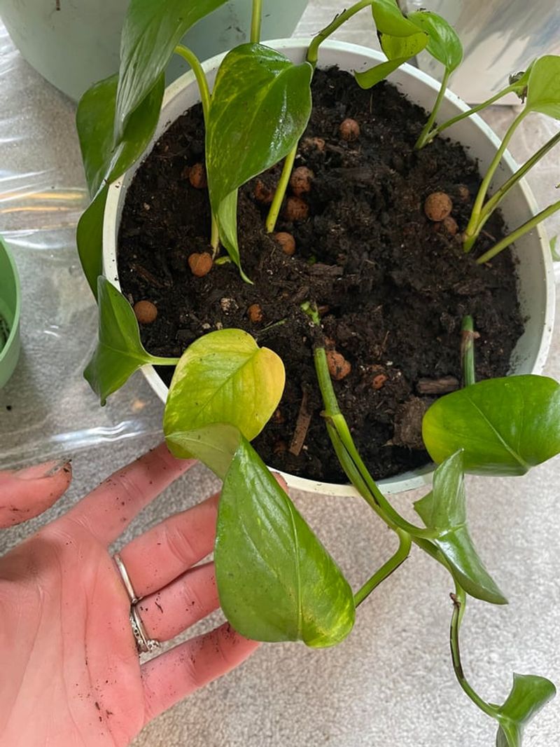 Less Is More With Scraps