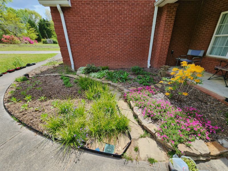 Inspect Perennials For New Growth And Damage