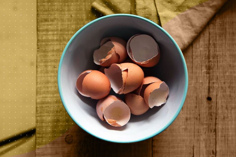Skip These Common Eggshell Mistakes