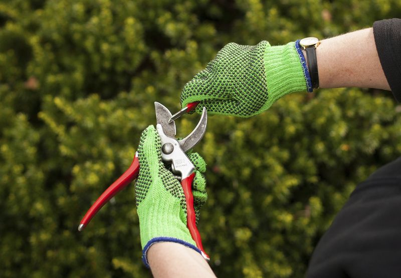 Service And Sharpen Garden Tools
