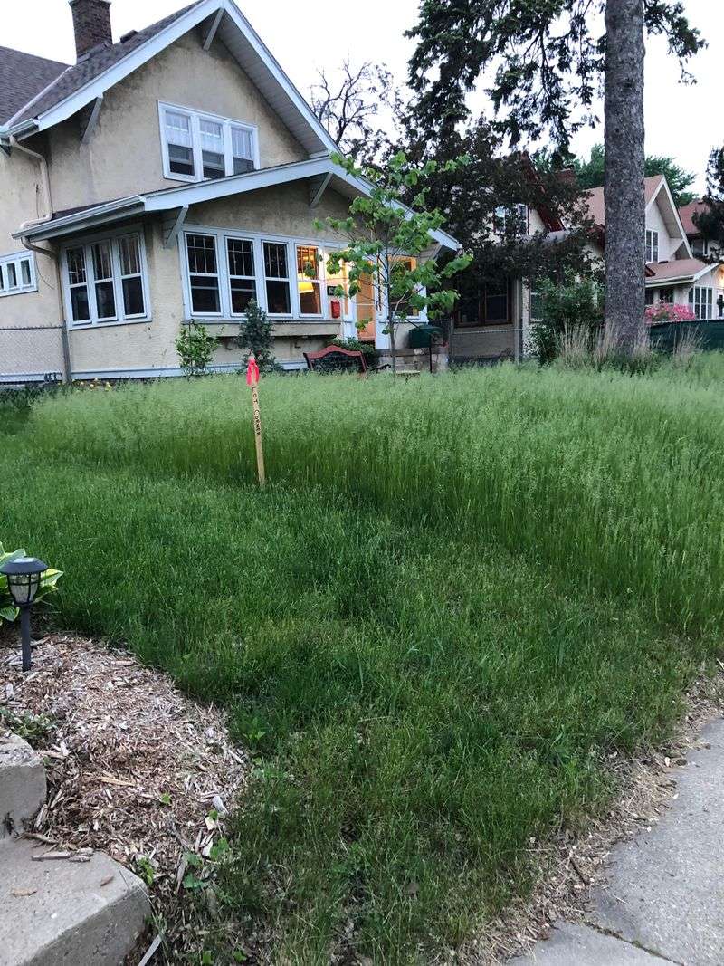 Maintaining Large Grass Lawns