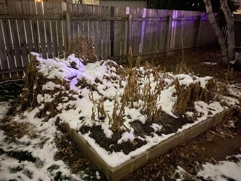 Removing All Garden Debris And Brush Piles