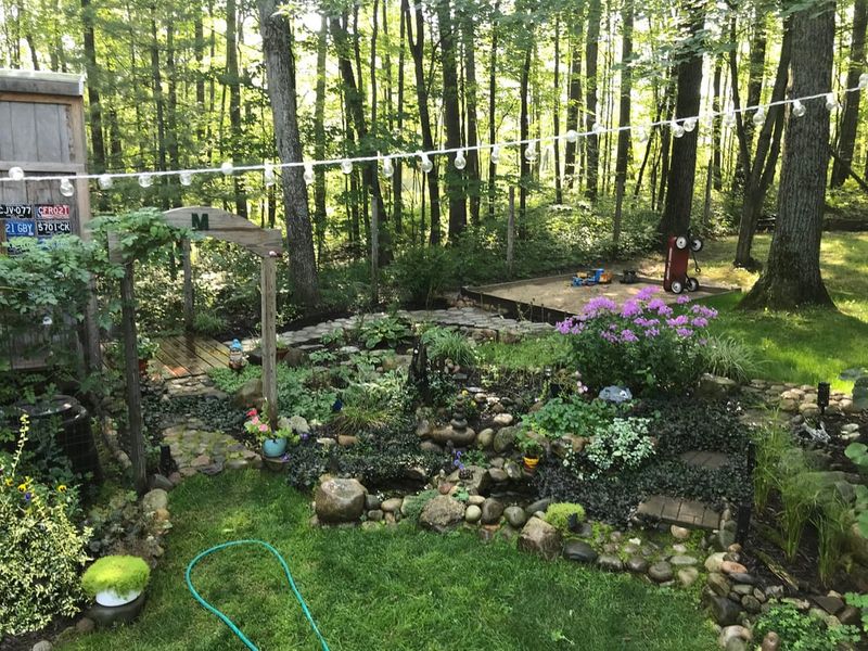 Maintaining Garden Rooms with Minimal Intervention