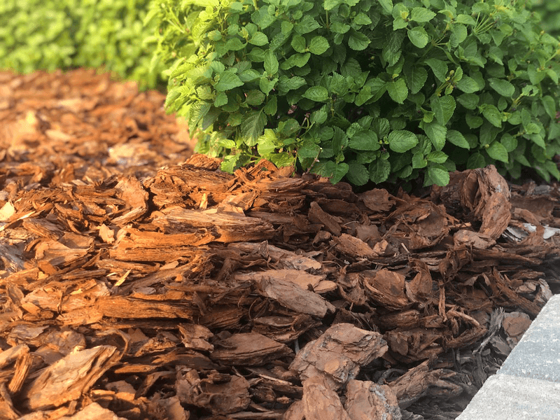 Match Mulch Type To Your Specific Texas Region