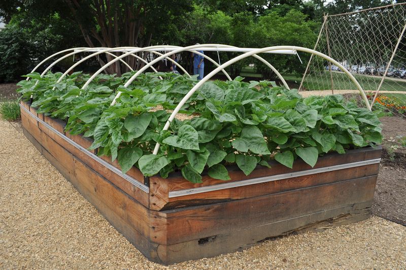 Use Raised Beds In Heavy Soil Areas