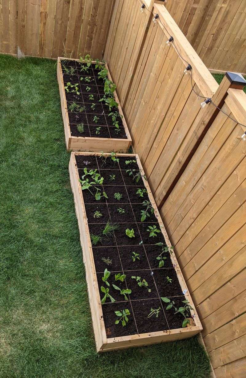 Water Early In The Day