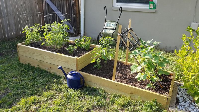 Use Raised Beds To Keep Roots From Sitting In Water