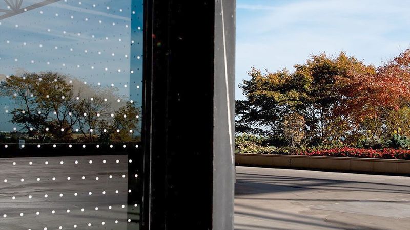 Prevent Window Collisions