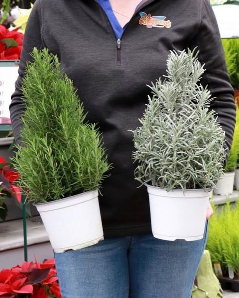 Water Deeply—But Infrequently