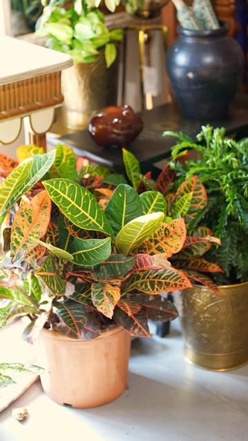 Adjusting Placement As Seasons Change