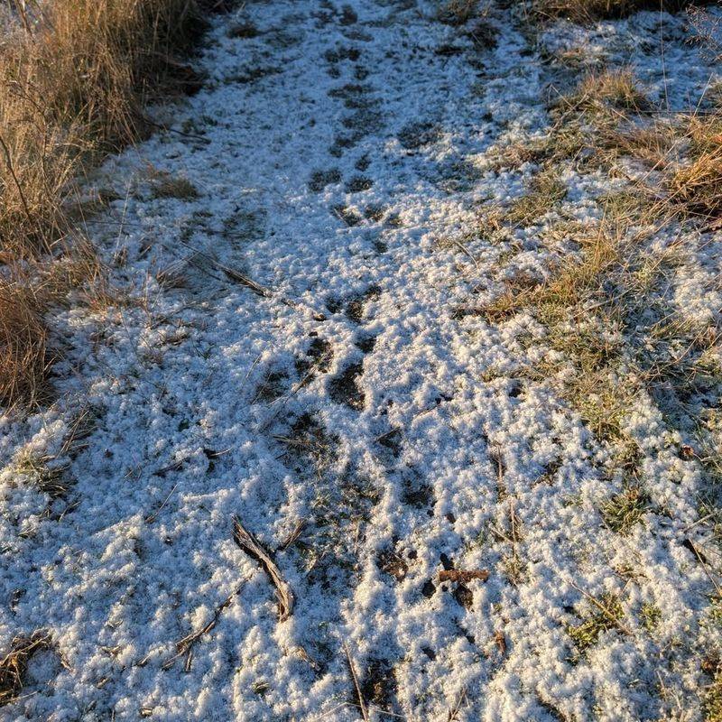 Managing Soil Moisture During Snow Melt