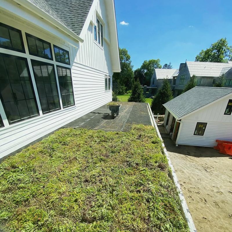 Green Roofs Insulate Homes and Support Wildlife