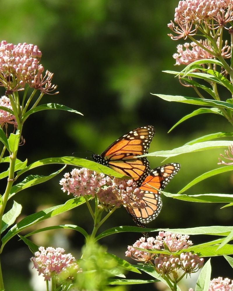 Low Maintenance Requirements Save Time And Money