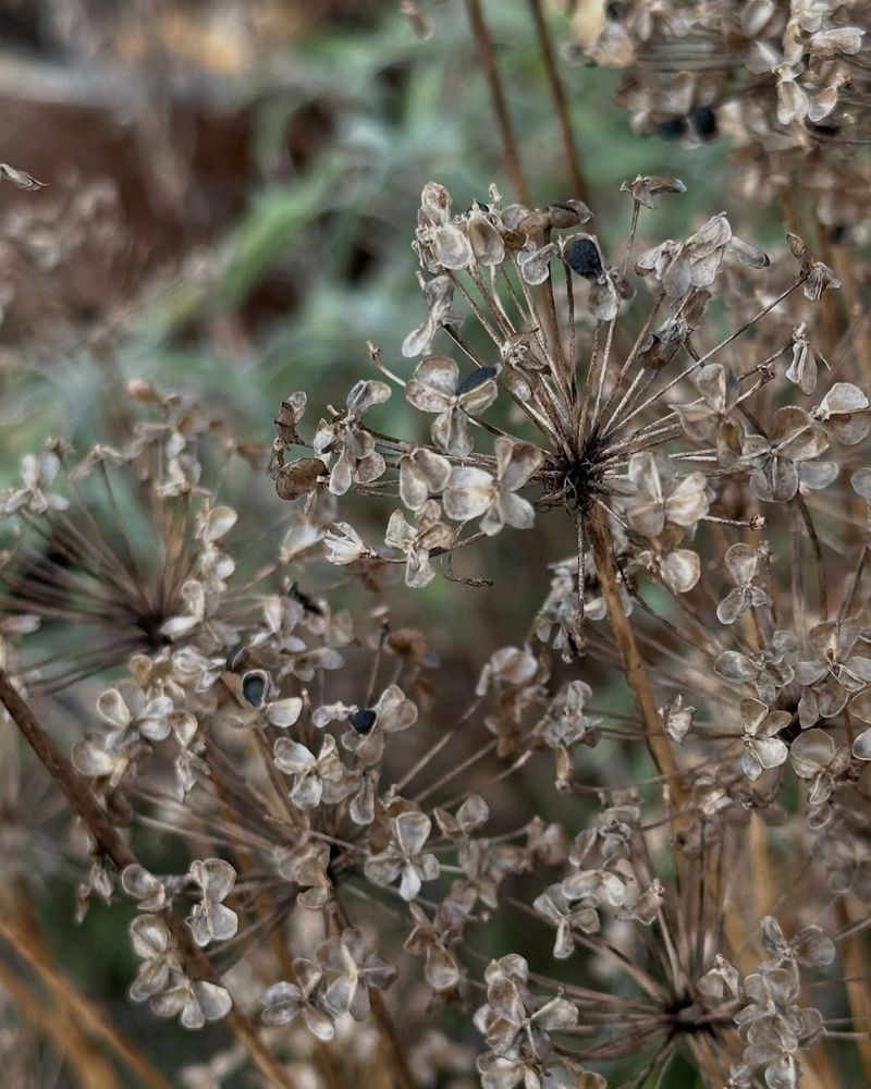 Reduced Soil Erosion And Nutrient Retention