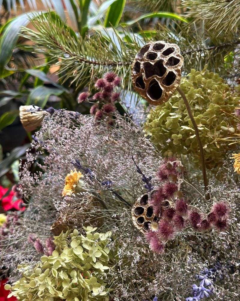 Stunning Winter Garden Structure Creates Visual Interest