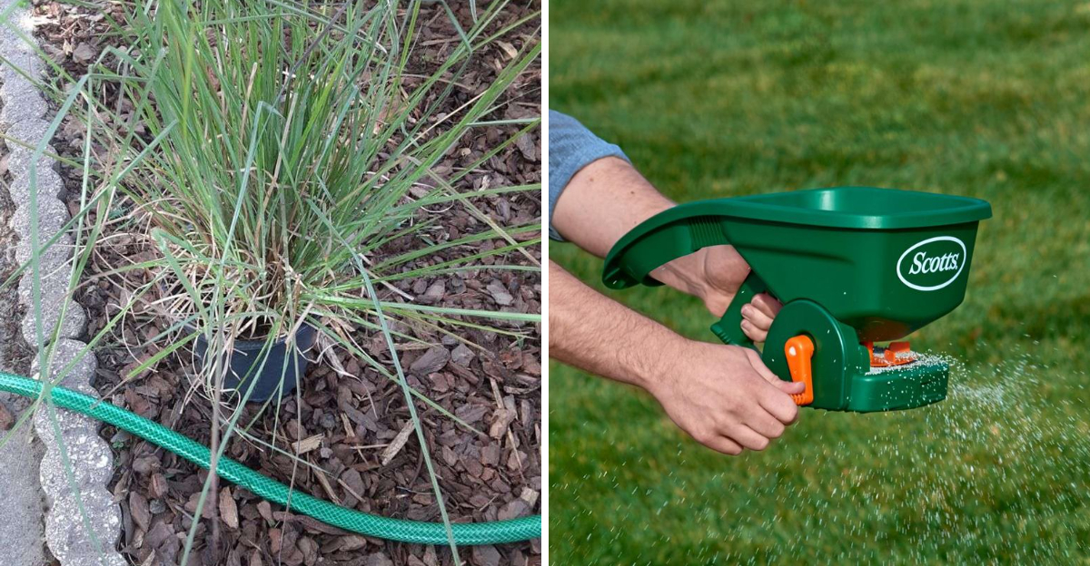 florida plant and lawn fertilizer spreader