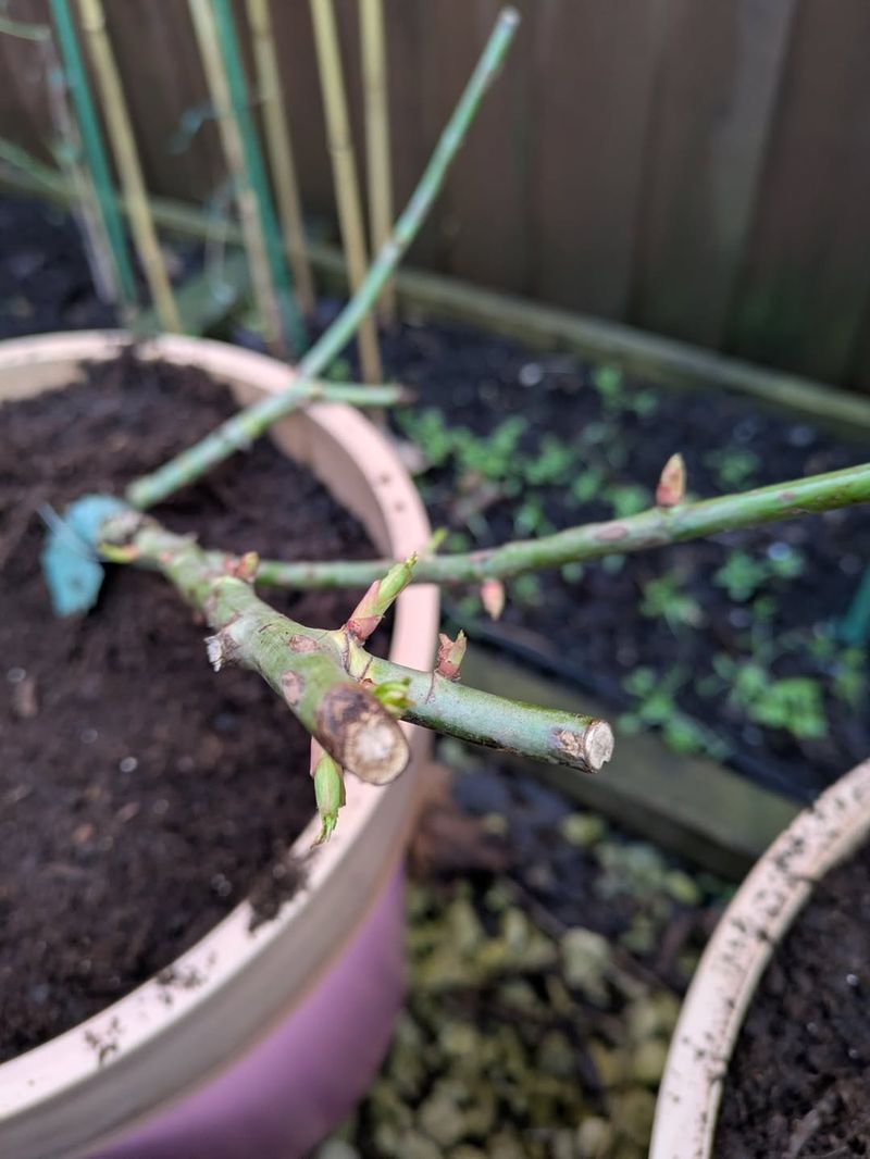 Propagation Differences In North Florida