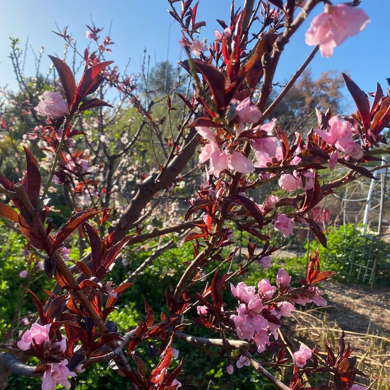 How To Adjust Watering As Spring Approaches