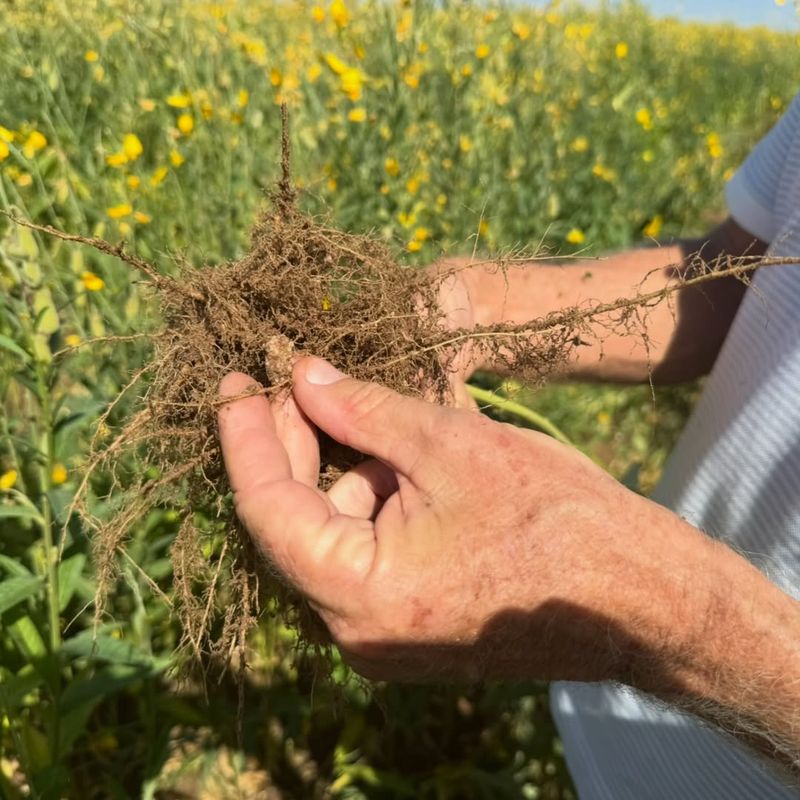 Regenerative Soil Building Practices