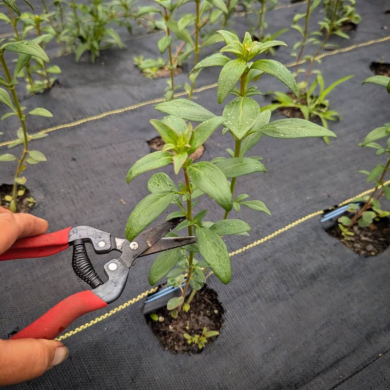 Handle Length Determines Reach And Power