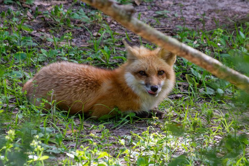 Teach Kids How To Respond Safely