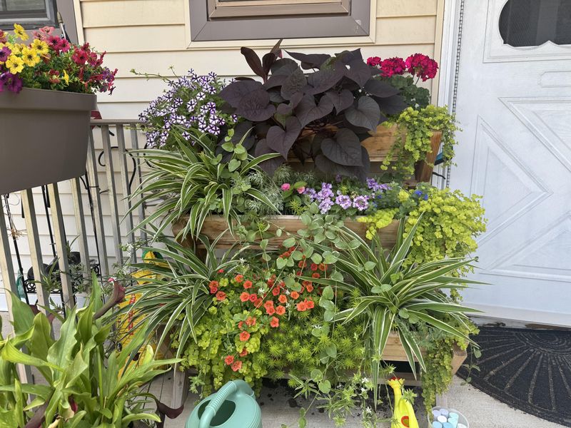 Ignoring Homeowner Association Landscaping Rules