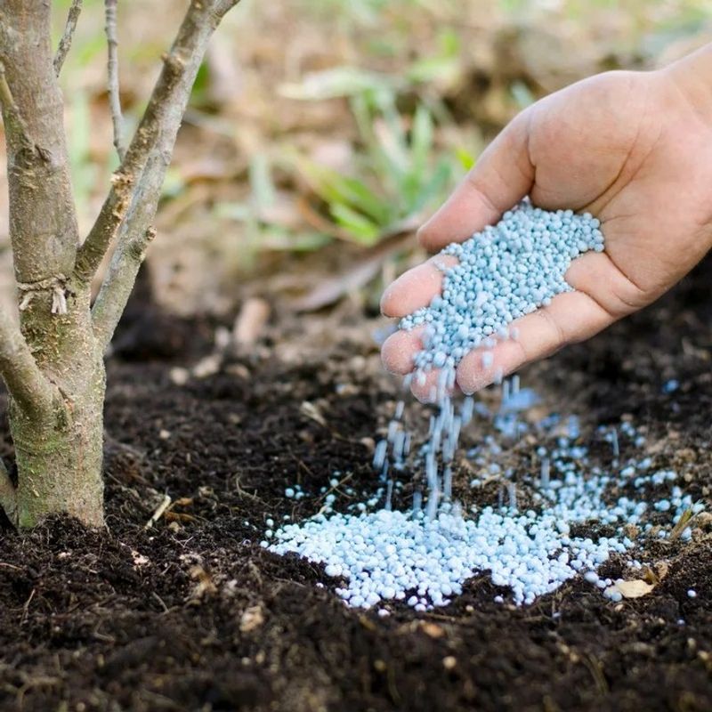 Synthetic Blue Fertilizers Provide Short-Term Results But Long-Term Problems